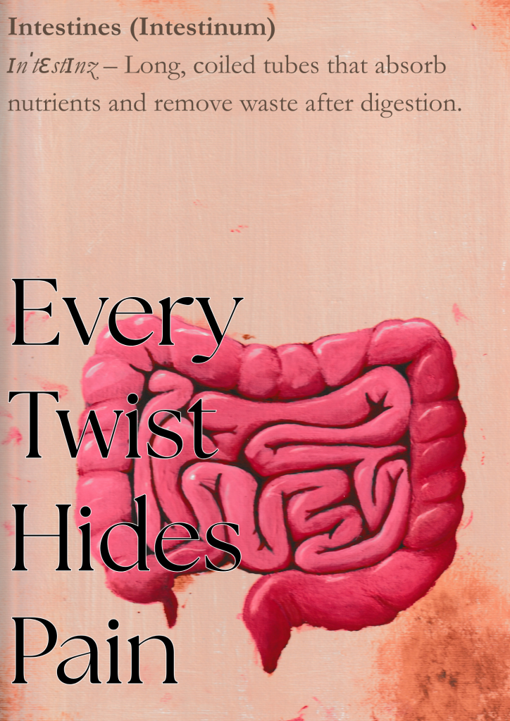 Ein Kunstwerk von einem Darm mit einer Definition im Hintergrund. Im Vordergrund steht "Every twist hides pain"