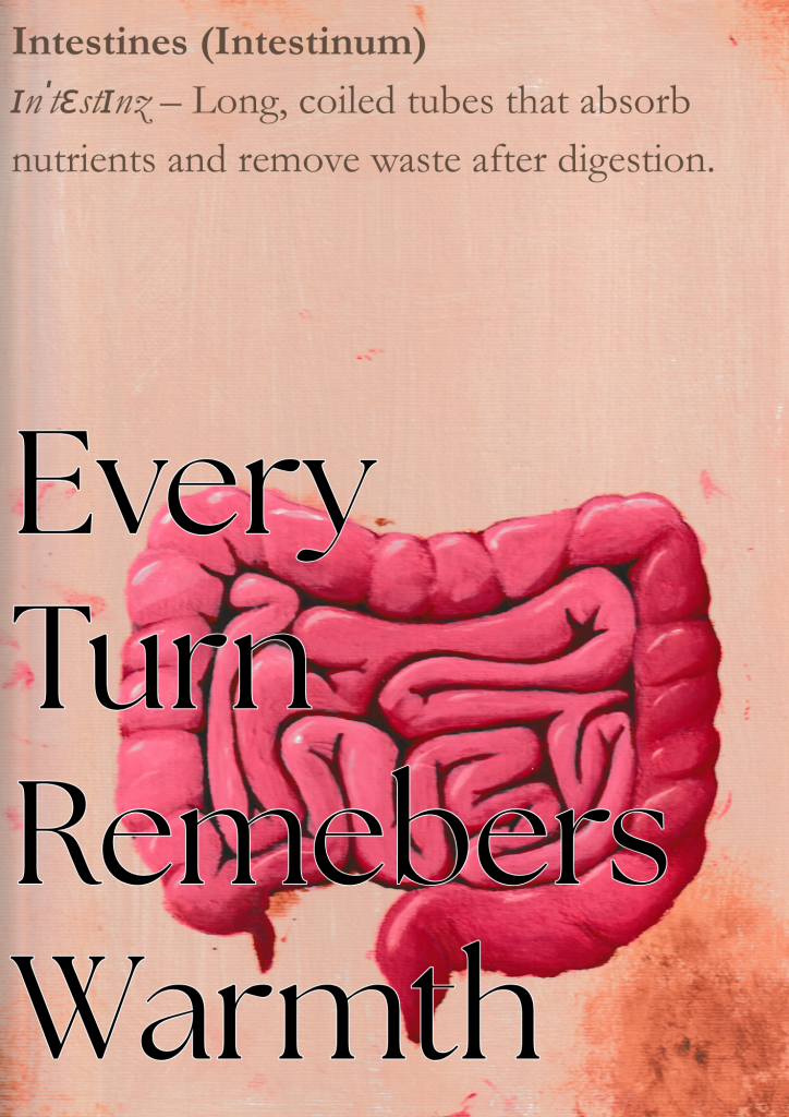 Ein Kunstwerk von einem Darm mit einer Definition im Hintergrund. Im Vordergrund steht "Every turn remembers warmth"