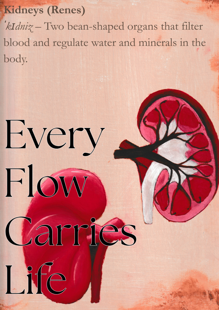Ein Kunstwerk von ein Nieren mit einer Definition im Hintergrund. Im Vordergrund steht "Every flow carries life"