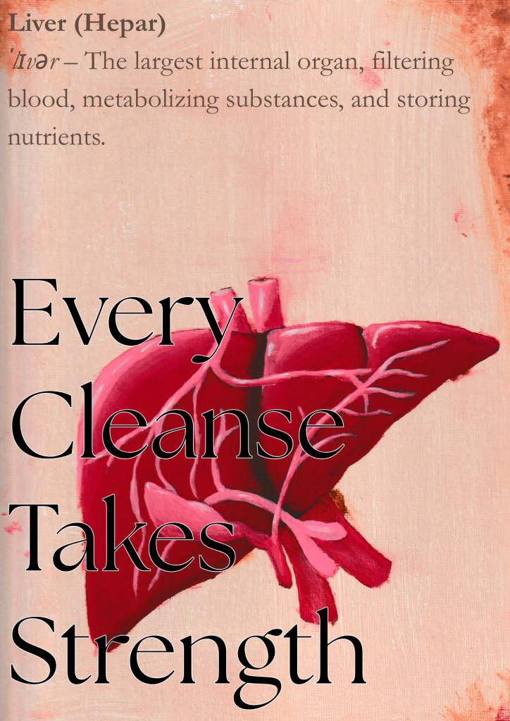 Ein Kunstwerk von einer Leber mit einer Definition im Hintergrund. Im Vordergrund steht "Every cleanse takes strength"